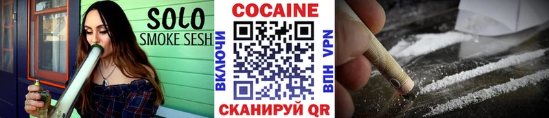 Cocaine FishScale  Купить закладки  Новосибирск 