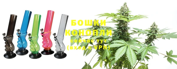 гашик Няндома