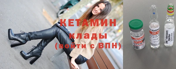 гашик Няндома