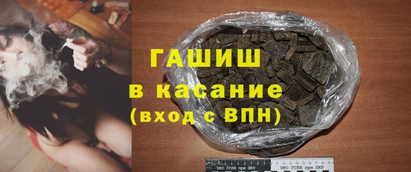 гашик Няндома