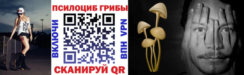 Псилоцибиновые грибы мицелий  Купить  Новосибирск 